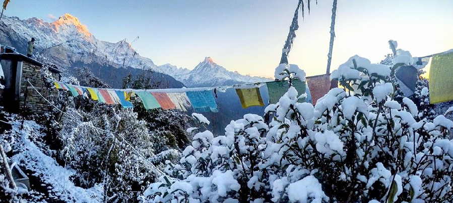 Valentines day in Nepal