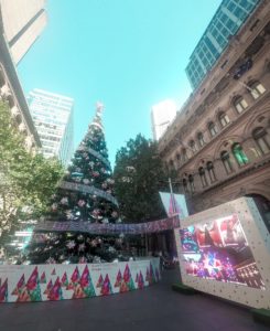 Sydney Christmas on budget