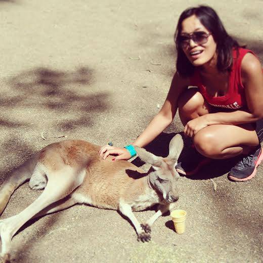 thingstodoinsydney-Kangaroo