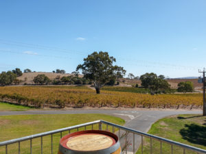 barossa valley wine tours