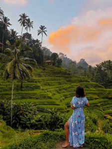 2 weeks in bali at the rice terraces