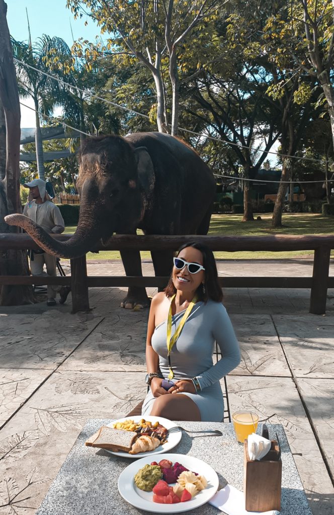 breakfast with elephants in bali 2 weeks itinerary
