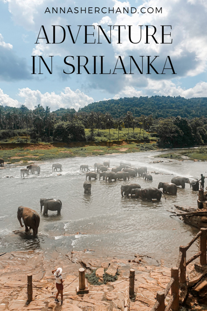 tuktuk challange srilanka