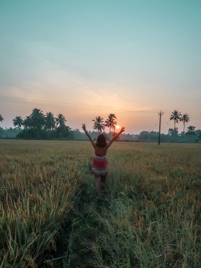 sunrise at the rice field