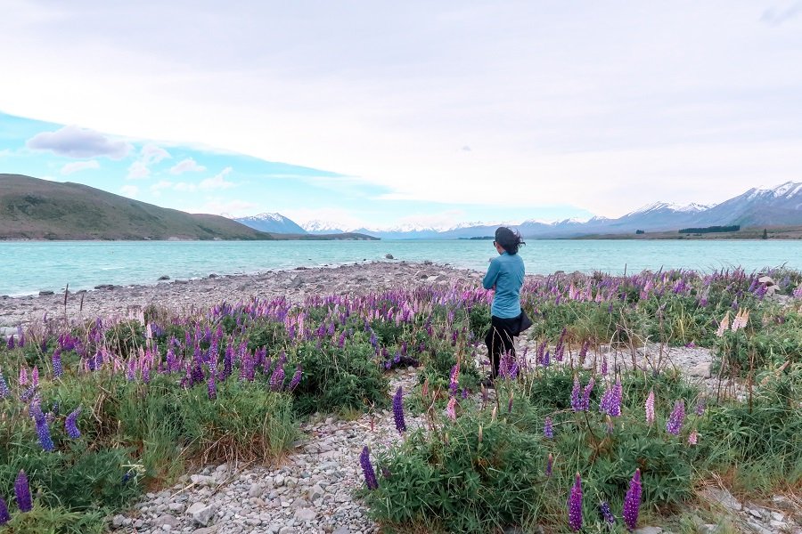 10 Most Beautiful Places In New Zealand South Island Anna Sherchand