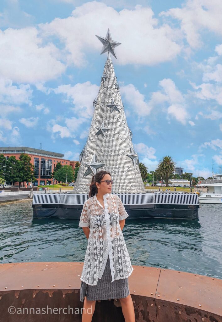 silver christmas tree in geelong australiaa