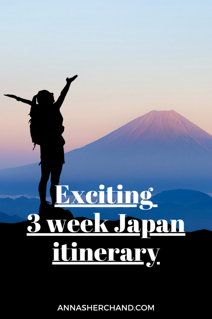 road trip japan 3 weeks