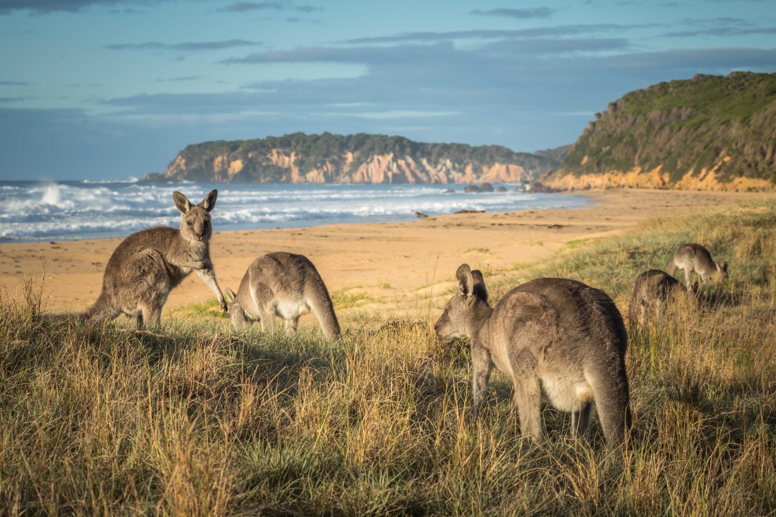 10 Fun weekend getaways close to Sydney - Anna Sherchand