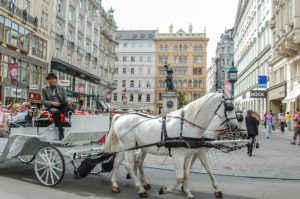 horse carts in vienna