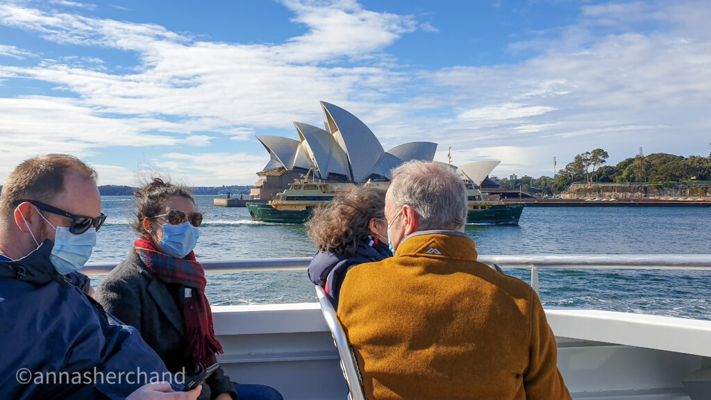 captain cook cruise whale watching