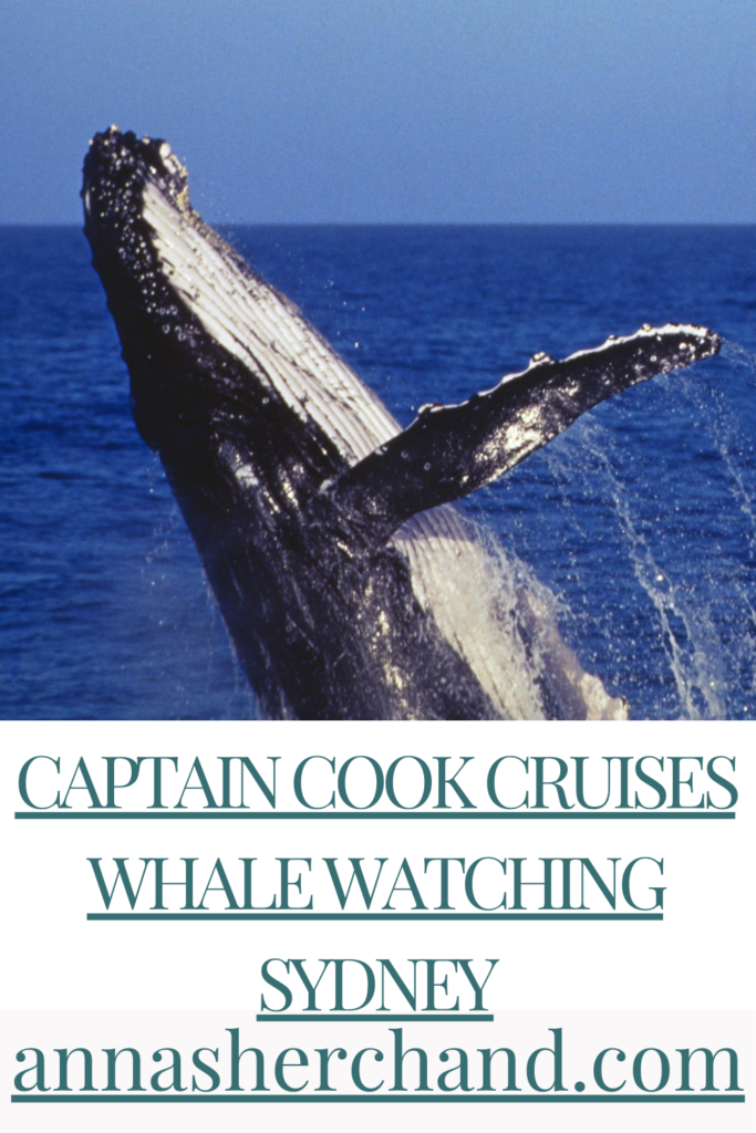 captain cook cruises whale watching