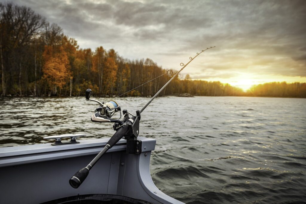 fishing in eden nsw