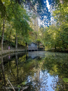 Boat house in Albert Nicholas garden