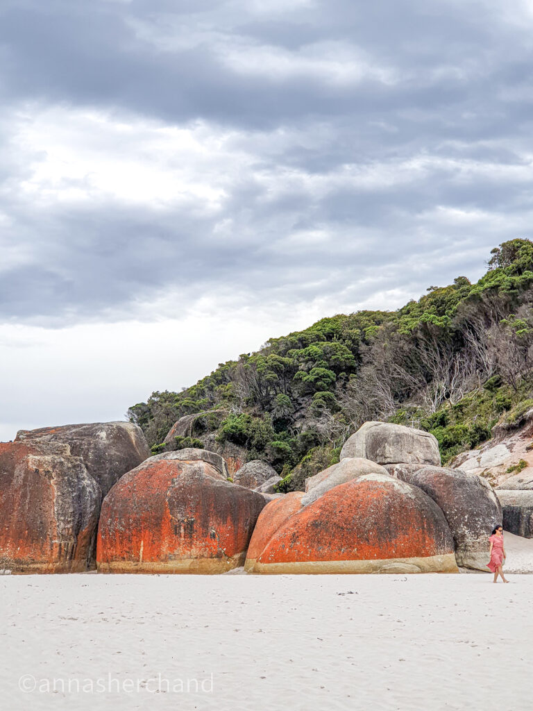 Wilson's Prom Hike, Eastern Circuit