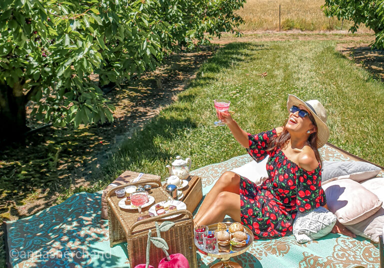 Yarra valley itinerary and the must sees in Dandenong ranges