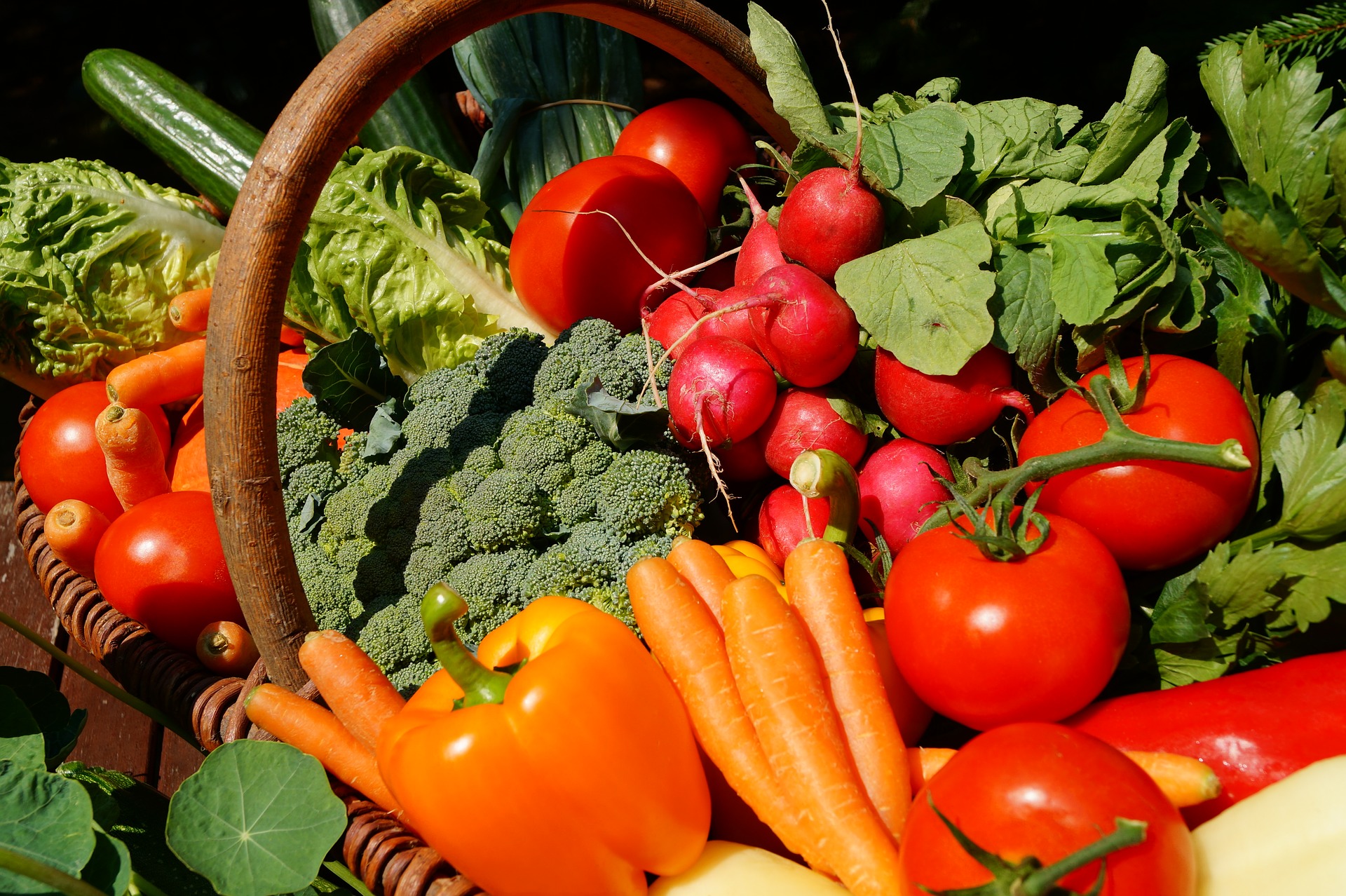 vegetables pictures with name in english