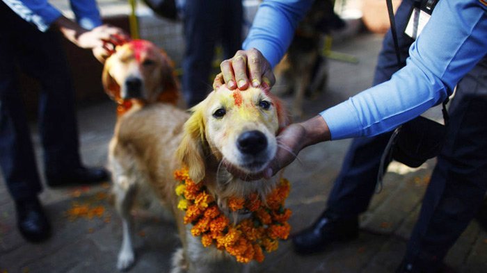 tihar festival in nepal