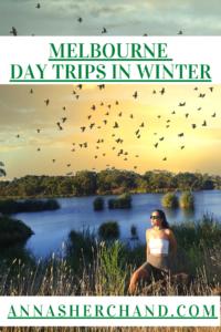 melbourne day trips in winter