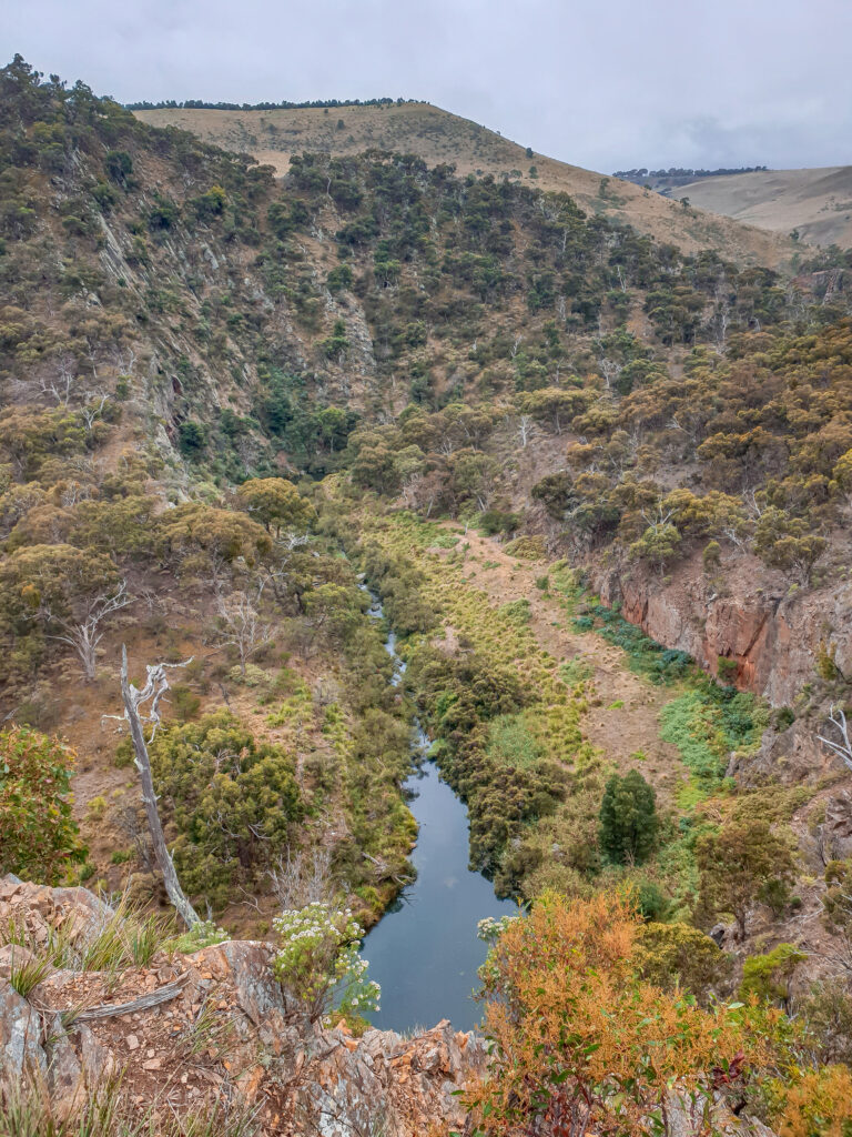 Day hikes in Melbourne