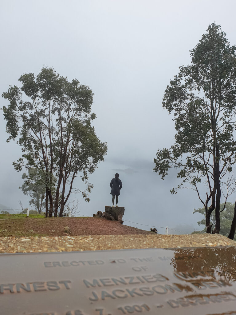 Foggs lookout Lake eildon