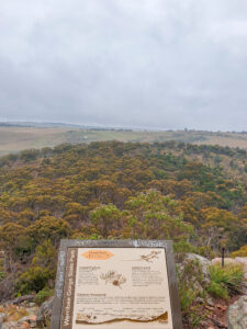 Werribee gorge hike