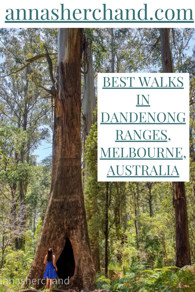 Best hikes dandenong ranges sale