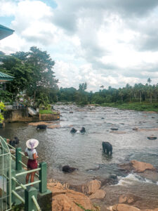 Solo female travel to Srilanka