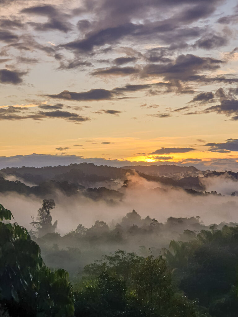 Sunrise in Ulu Temburong National Park