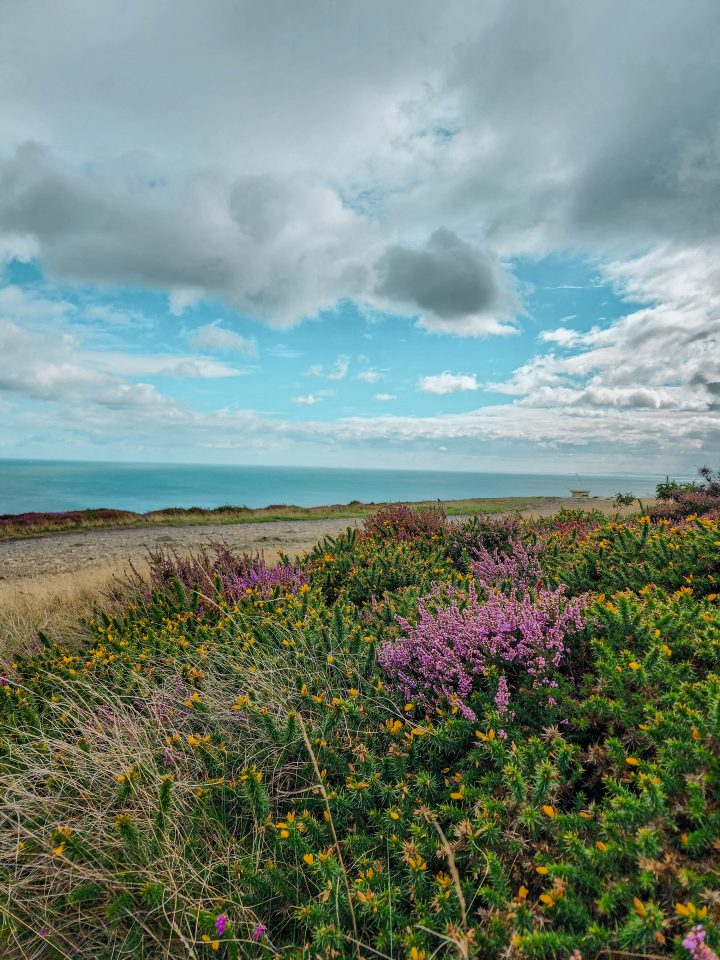 Howtch Dunlin How to go from Dublin to Howth - Anna Sherchand