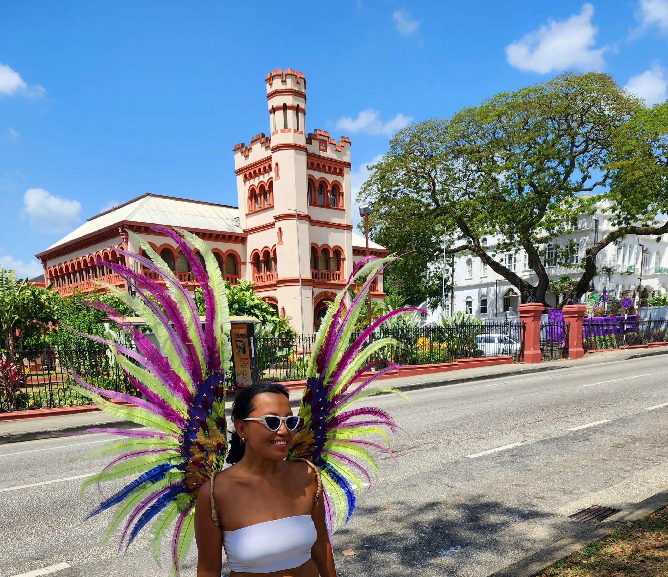 Trinidad and Tobago Itinerary and Travel Tips - Anna Sherchand